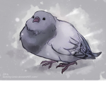 Cult of the pigeons