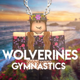 Wolverines Gymnastics Group Gym