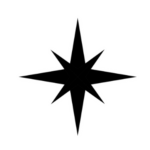 Blackstar Special Operations Division