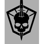AFSG- combat command
