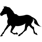 Unicorns group. For the amaizing unicorns