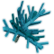 Dragon Sapling produce