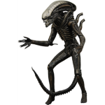 The Aliens Are Real Group