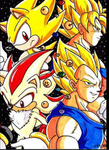 SonicXWarriorZ