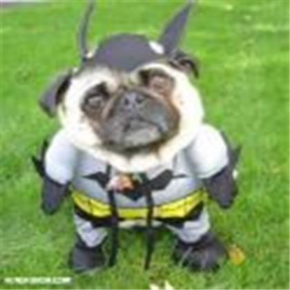 funny dog Roblox decal
