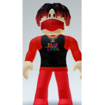Dapook