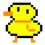 Duck Comunity