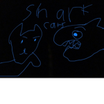 SHARK AND CATS