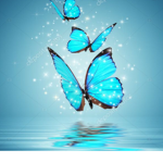 Butterfly squad hereee guys