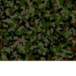 camo VIP