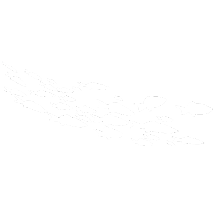 Large Group of Fish White Silhouette 2 Roblox decal