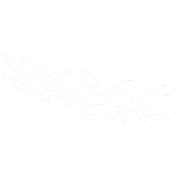 Large Group of Fish White Silhouette 2 Roblox decal
