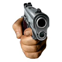 Evr Fps game evr