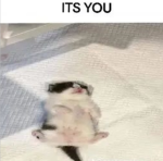 Awa de uwu xd ewe