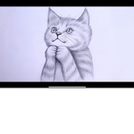 The Cats Of hope