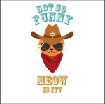 CowBoyCats