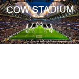 Cow Stadium