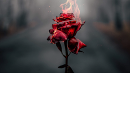 Lost Souls