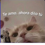 Panditas7v7