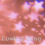 Lowkey gang is fire