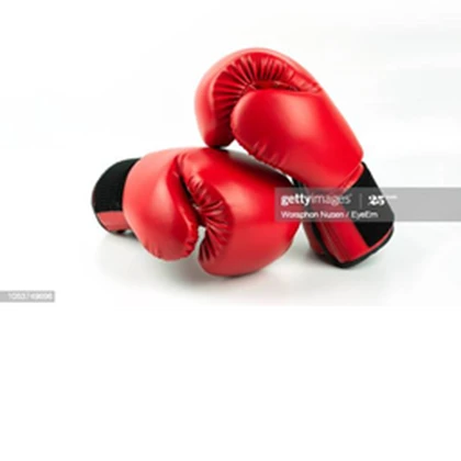 Boxing league group Roblox group icon