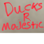 Duckie Squad For Duck Fans!