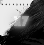 ; X7