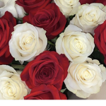 Scented Rxses