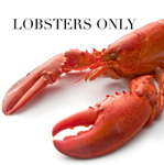 LOBSTERS ATTACK!!!