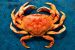 Find the Crabs!