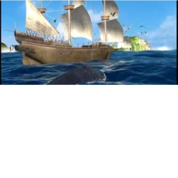 Pirate life