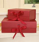 WCUE Gifters Cherish Pledge