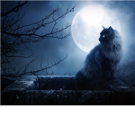 Moonclan ~ t h e s w i f t a n d g r a c e f u l