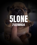 5lone