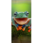 RETRO FROGY…