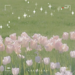 spqrklyqs