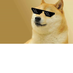 Doge Cult
