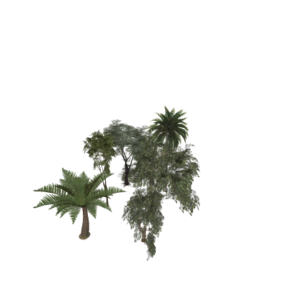 Interior Foliage