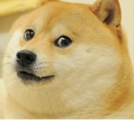 Doge true group