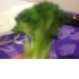 Pesto Rage Out