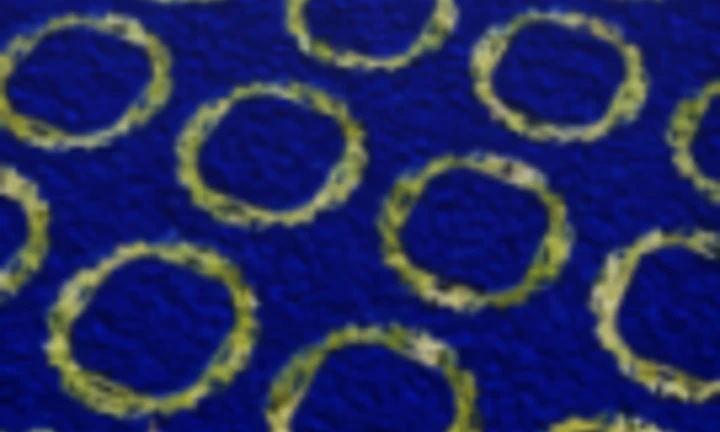 Swan Location The Official Roblox Website NoFilter