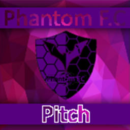 Phantom F.C™ Stadium