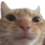 OSWALDS