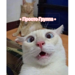 • Просто Группа •