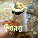 sоag