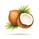 Gang Des Cocos