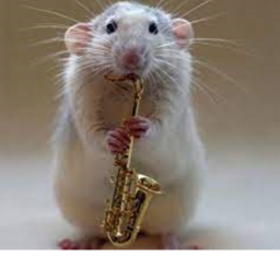 saxophone rat (no event)