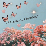 ~*:Aesthetic Clothing:*~