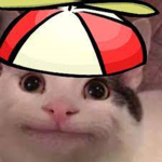 HiBeluga