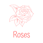 ~Roses Clothing~